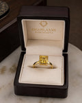 Yellow Sapphire (पुखराज) Panchdhatu Ring